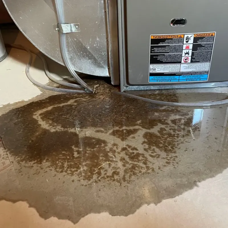 Pipe Burst and Leak Restoration in Andalusia, AL