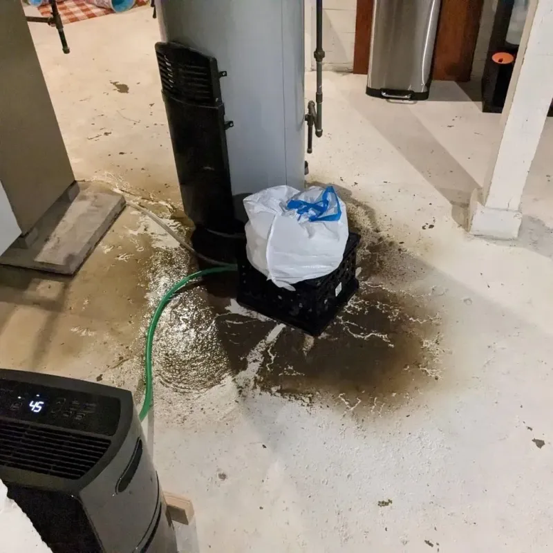Sewage Backup Cleanup Service in Andalusia, AL